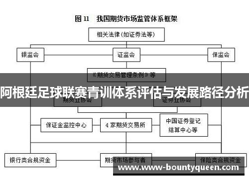 阿根廷足球联赛青训体系评估与发展路径分析 阿根廷足球联赛青训体系评估与发展路径分析